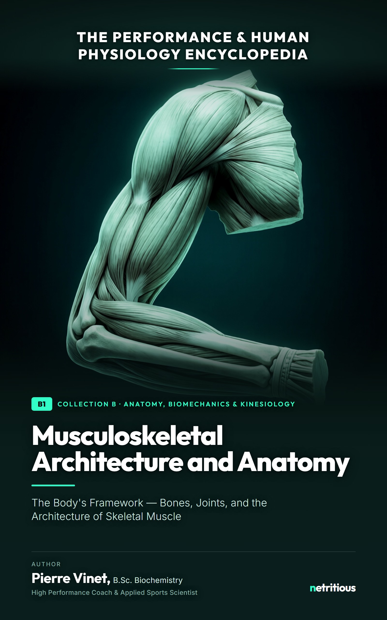 Cover of Musculoskeletal Architecture and Anatomy