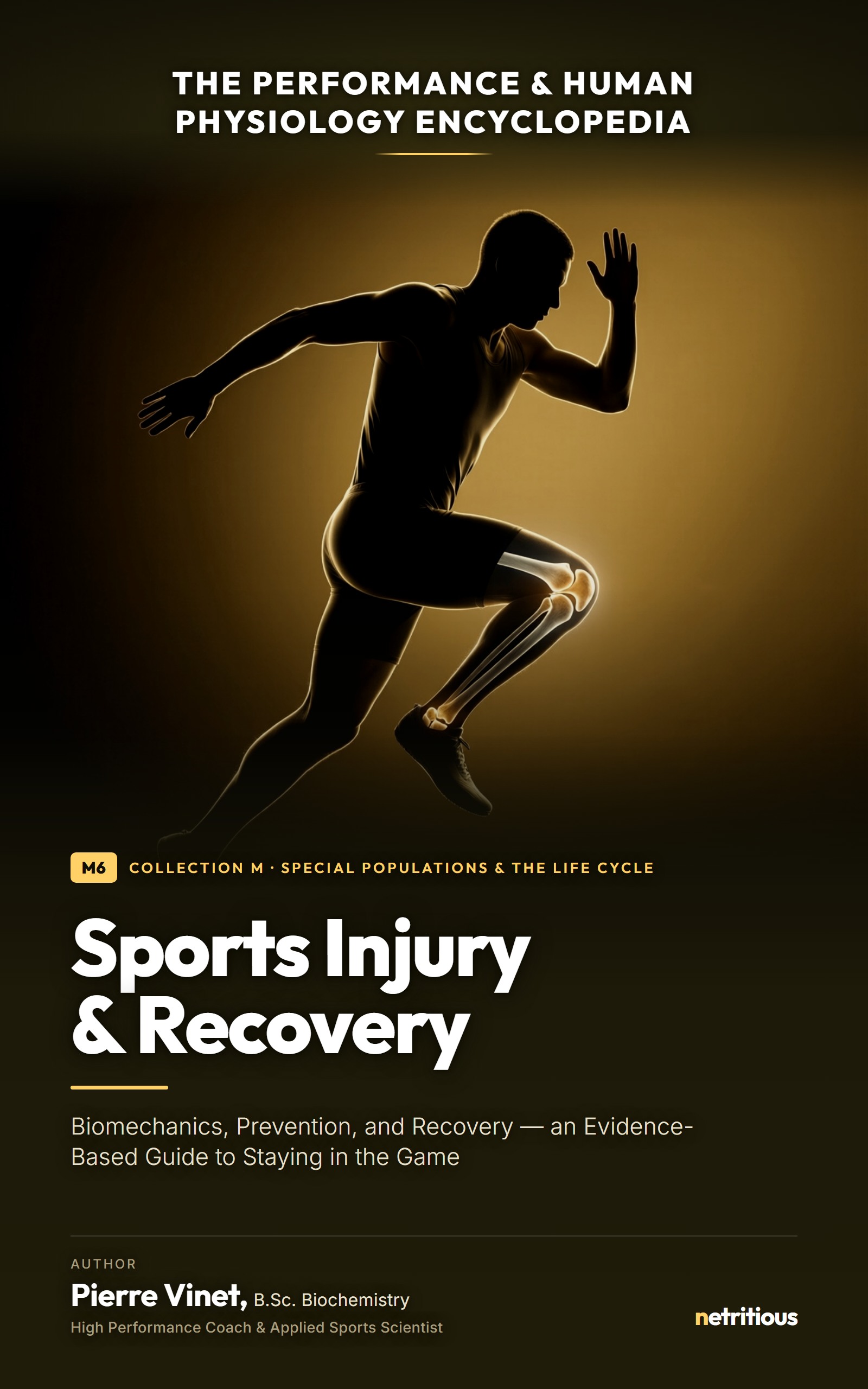 Cover of Sports Injury & Recovery